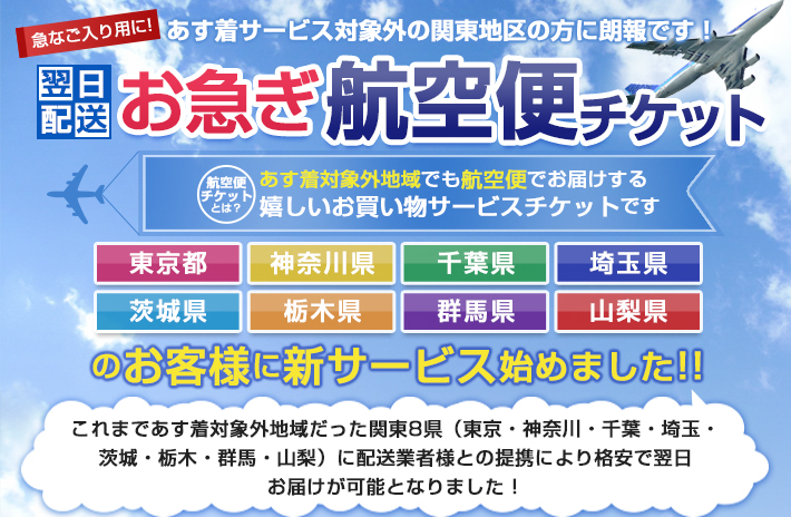 翌日配送お急ぎ航空便チケット